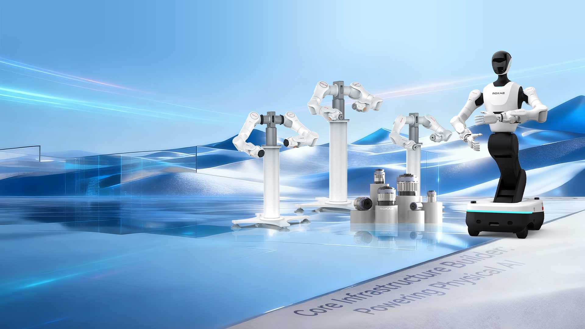 Embodied Intelligent Robots