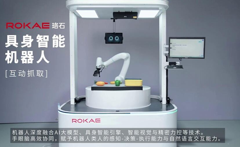 具身智能機器人互動(dòng)抓取