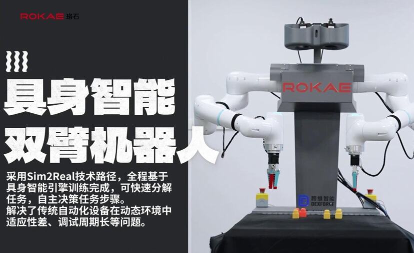 エンボディド知能雙腕ロボット ブロック組立