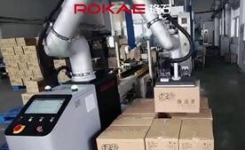 珞石協(xié)作碼垛典型應用：清潔用品紙箱碼垛