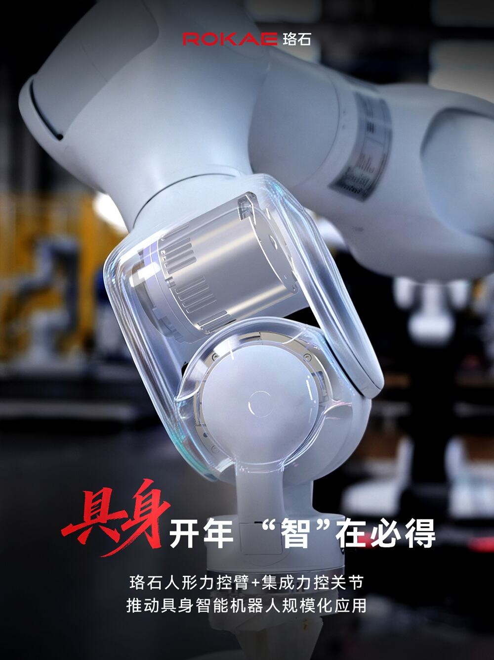 1772268958299752.jpg 春晚信號-1.jpg