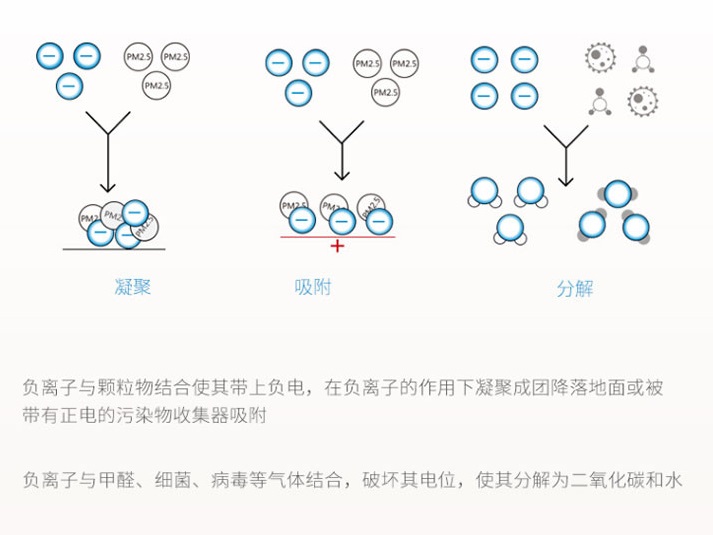 圖片4.jpg 圖片4.jpg