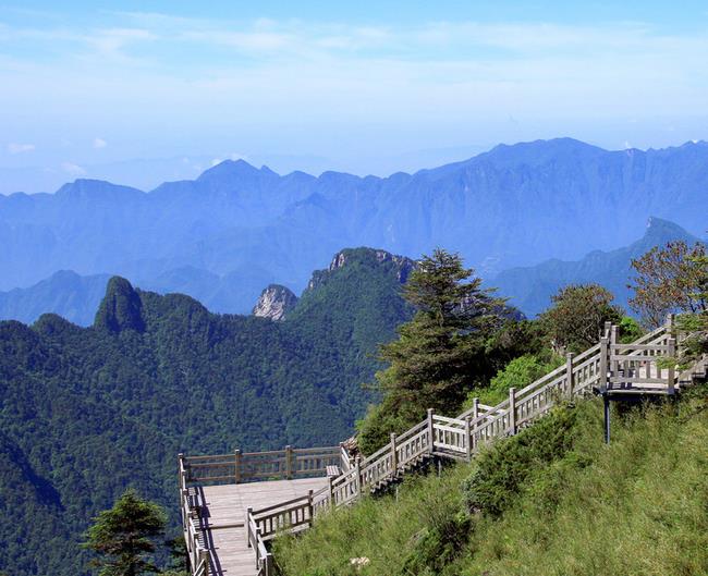 ؓ�x�ӿ��a����еľS�����������˂���������