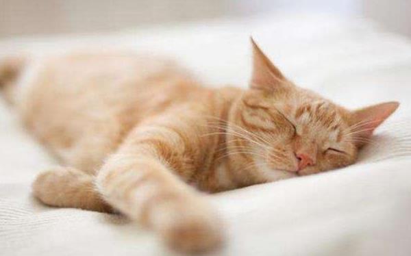 ��ؓ�x�ӌ����w����ʮ���������t�W(xu��)�о��C����