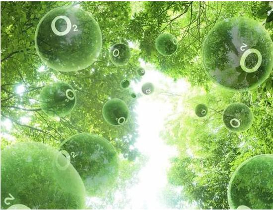 ؓ�x�����S������֮̎����Ȼ�����˂���֪