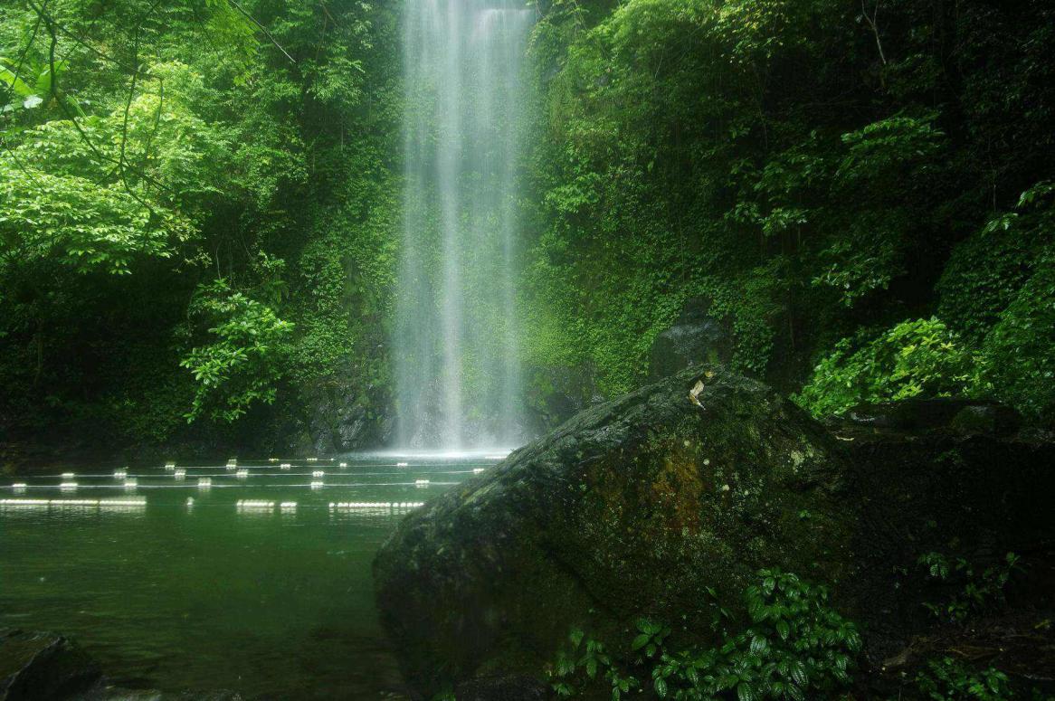 ؓ�x�ӌ�PM2.5ȥ���ʸ��_99.8%����Ć���