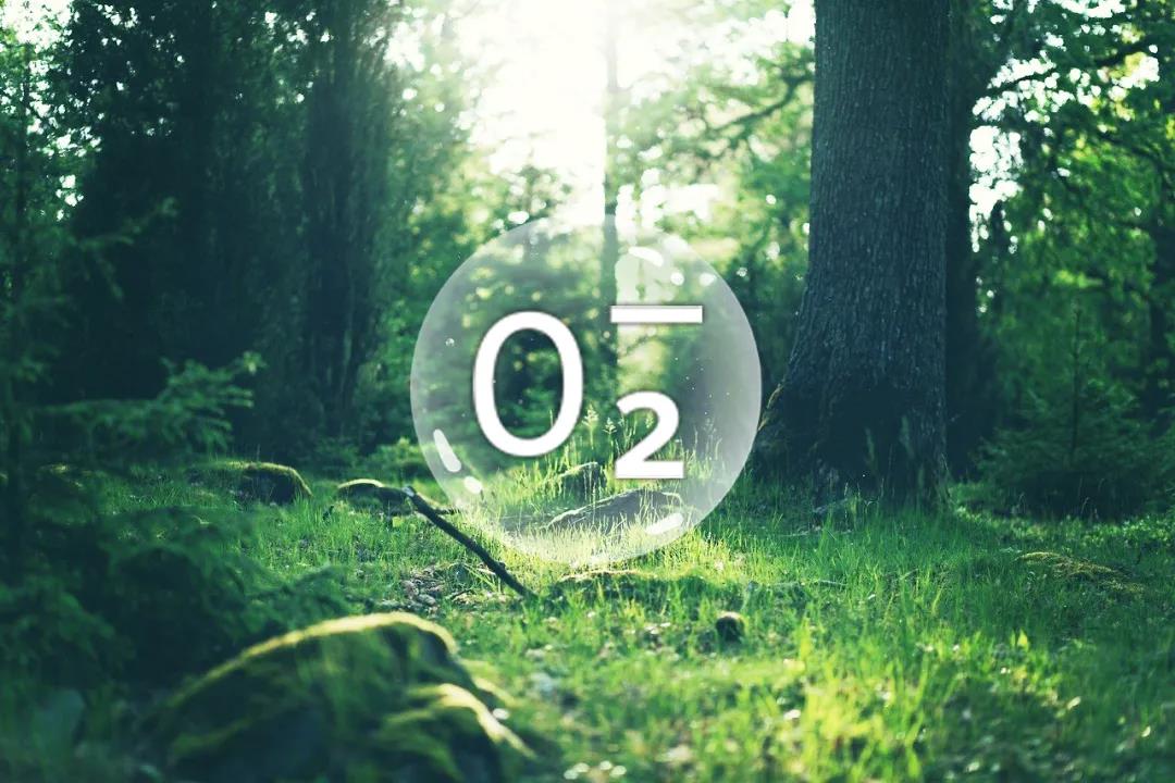 ��(zhu��n)�I(y��)���x��ؓ�x�ӿ՚��������ʲô����