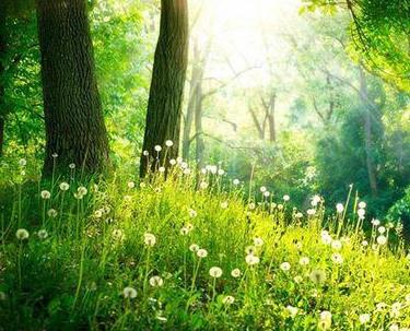 ���N����ؓ�x�ӵķ����c�l(f��)��Դ�ĵط�