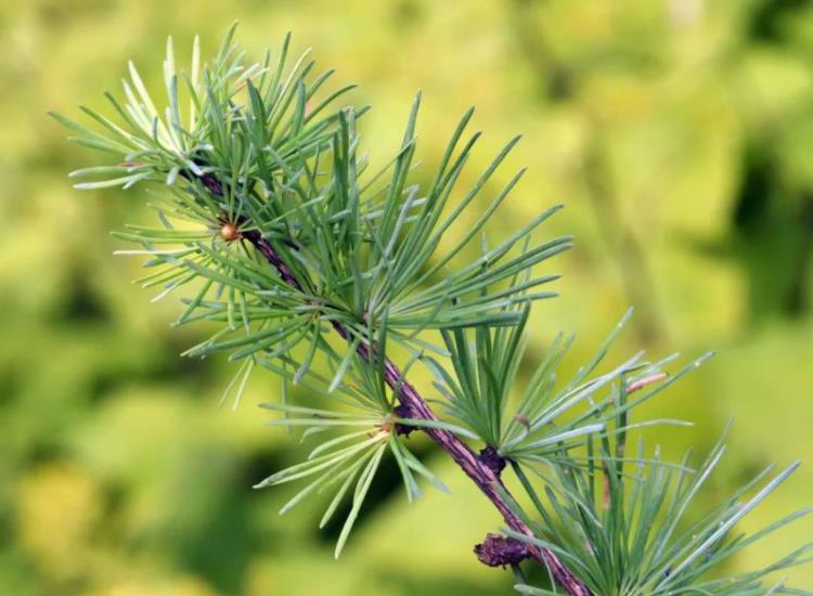 �ᵽؓ�x�Ӟ�ʲô����ؓ���x�Ӷ���������ؓ�x����