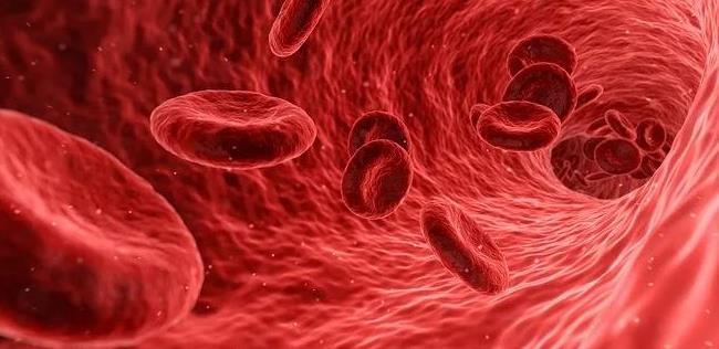 �F���ƌW(xu��)�B����������ؓ���x��