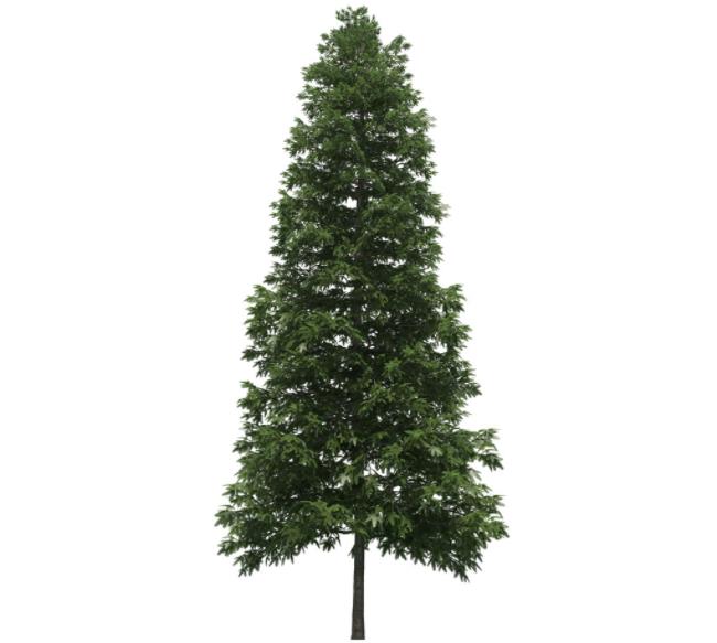 С����ؓ�x�Ӄ����՚���ɭ�ֿ՚����µ��������I(y��ng)�콡�������ĭh(hu��n)��