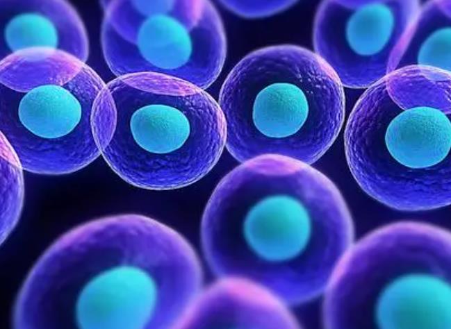 ؓ���x�ӌ����M(j��n)���w��������Щ����