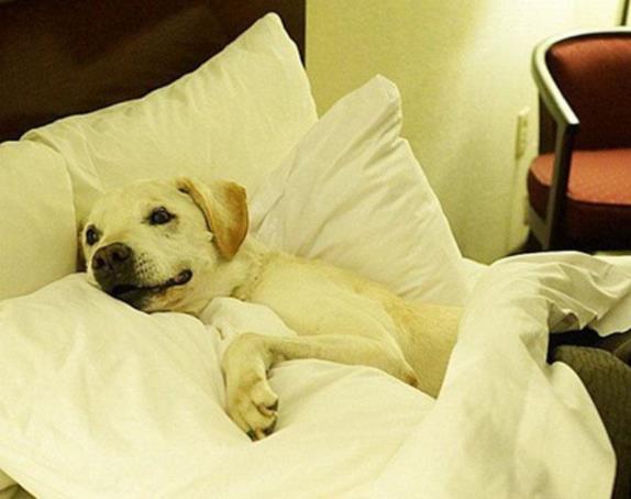 ����ʧ������Ч�ķ������ҽK���ҵ���