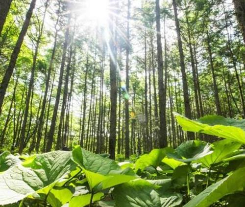 �[���ڴ�ɽ����L(ch��ng)�۴����������E����С����ؓ�x��